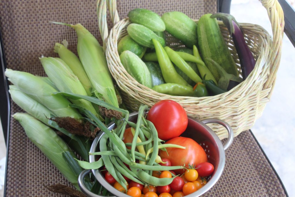 Six Easy Ways to Preserve Your Suburban Harvest